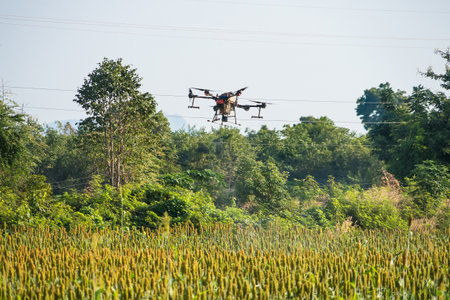 Agriculture drone flying and spraying fertilizer and pesticide over farmland,High technology innovations and smart farmingの写真素材