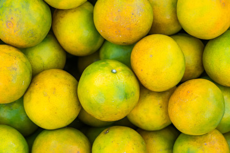 Fresh orange in the market.の写真素材
