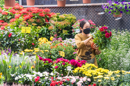 Bangkok, Thailand - January,10, 2024: Asian woman picking flowers at plant marketのeditorial素材
