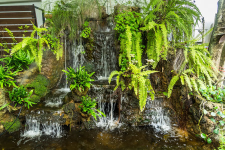 waterfall surrounded by fernsの写真素材