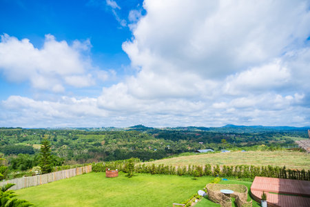 Rolling hills covered in dense trees stretch across the horizon, creating a sense of depth and natural beauty. The clouds overhead are thick yet allow some sunlight to filter through.の写真素材