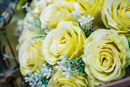 A close-up of a bicycle basket filled with fresh yellow roses, creating a charming and romantic outdoor scene.の写真素材