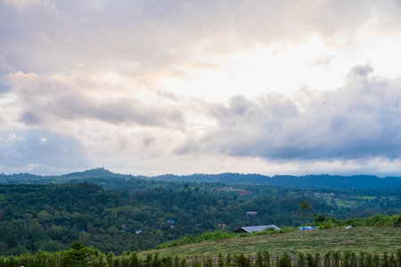 Rolling hills covered in dense trees stretch across the horizon, creating a sense of depth and natural beauty. The clouds overhead are thick yet allow some sunlight to filter through.の写真素材