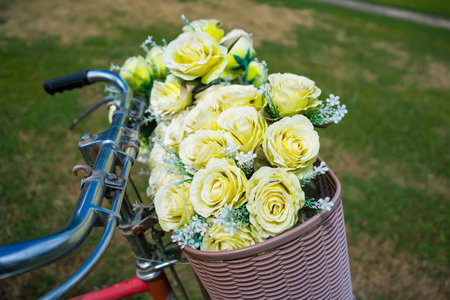 A close-up of a bicycle basket filled with fresh yellow roses, creating a charming and romantic outdoor scene.の写真素材