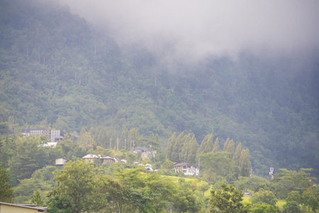 Rolling hills covered in dense trees stretch across the horizon, creating a sense of depth and natural beauty. The clouds overhead are thick yet allow some sunlight to filter through.の写真素材