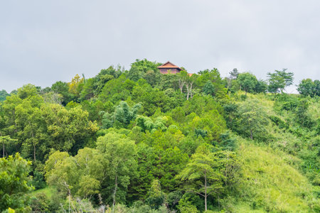 A serene landscape of lush green hills partially covered in morning mist, creating a tranquil and ethereal atmosphere.の写真素材