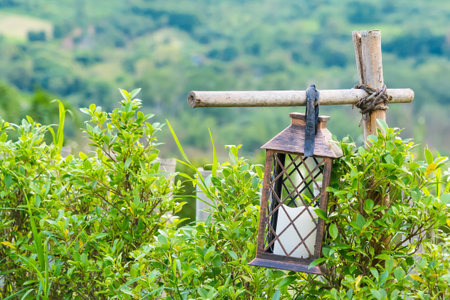A beautifully designed lantern hanging in a vibrant garden, adding a touch of elegance to the outdoor space.の写真素材