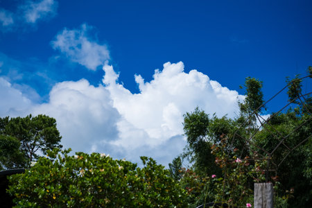 A tranquil day captured with puffy cumulus clouds in a bright blue sky and lush greenery below, perfect for evoking a sense of peace and calm.の写真素材