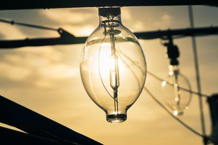 Vintage light bulb with sunset background,Vintage light bulb.