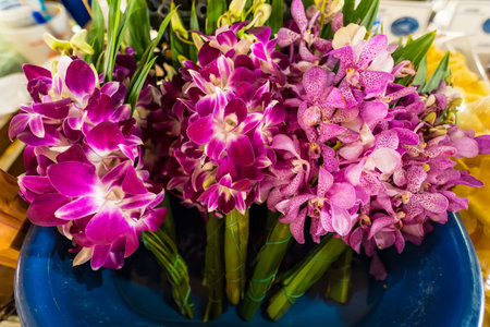 Fresh orchid blossoms in purple and pink arranged beautifully for sale at a market.の写真素材