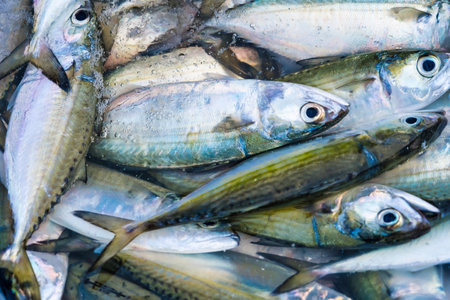 basket filled with fresh silver fish displayed at an outdoor seafood market. The vibrant colors...