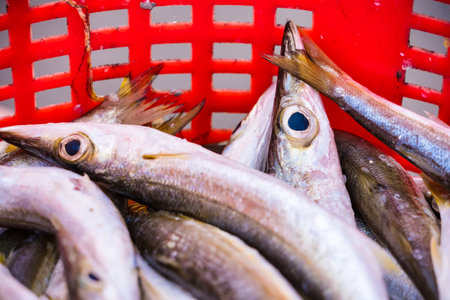 basket filled with fresh silver fish displayed at an outdoor seafood market. The vibrant colors reflect the lively atmosphere of coastal trading culture.の写真素材