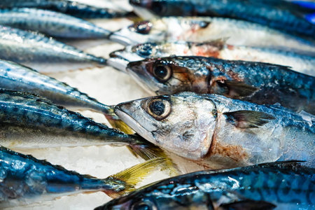Fresh fish are beautifully displayed on ice at a bustling seafood market.の写真素材
