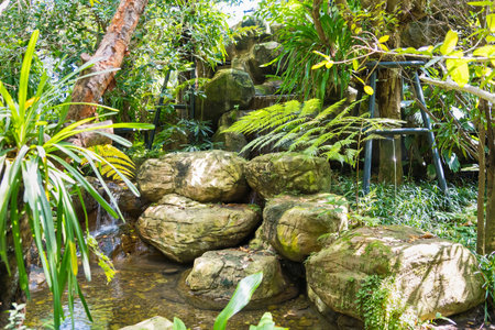 A scenic waterfall surrounded by lush vegetation, making it a dream destination for nature lovers.