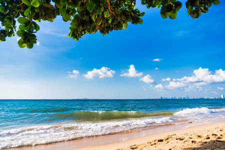A peaceful oceanfront scene featuring a sandy shore and a blue horizon, perfect for a relaxing beach day.の写真素材