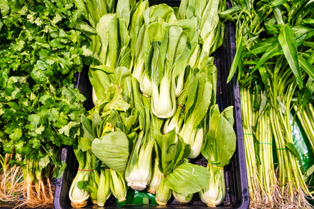 Diverse Selection of Green Leafy Vegetables for Healthy Cooking Displayed in Market Basketsの写真素材