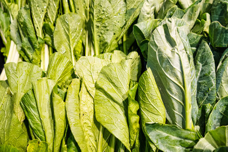 Diverse Selection of Green Leafy Vegetables for Healthy Cooking Displayed in Market Baskets