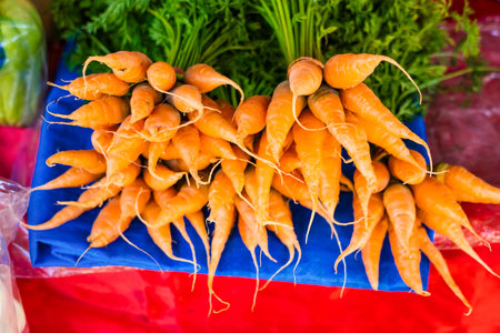 Freshly Harvested Organic Carrots with Green Tops at a Local Farmers Market, Displaying Their Vibrant Color and Nutritional Quality, Perfect for Healthy Cooking and Eatingの写真素材