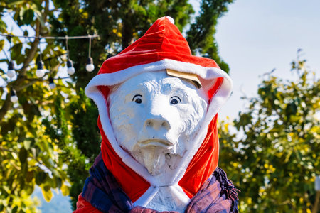 Statue of a polar bear dressed in winter clothing including a red Santa hat and scarf standing in a garden settingの写真素材