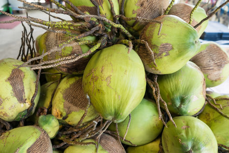 A pile of fresh green coconuts with fibrous husks and stems showcasing a natural organic tropical fruit harvest displayの写真素材