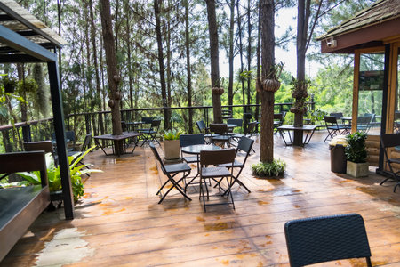 Outdoor cafe with empty tables and chairs on a wooden deck surrounded by tall pine trees in a lush...