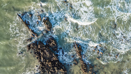 Aerial view of ocean waves crashing onto a rocky coastline with foamy white surf
