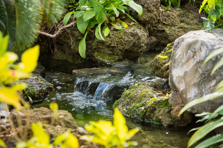 Small natural waterfall flowing over moss-covered rocks in a tranquil forest stream surrounded by lush vegetation and greeneryの写真素材