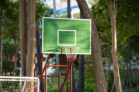 Old green basketball hoop with backboard placed outdoors among tall trees in a park or playground