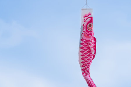 Colorful pink koinobori carp streamer hanging against a clear blue sky during traditional Japanese celebrationの写真素材