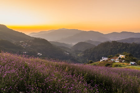 Sunrise over a scenic mountain landscape with wildflowers, distant hills, and a few scattered houses...