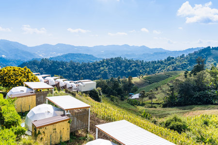 Chiang Mai, Thailand - January, 06, 2026 :Charming homes nestled into the side of a lush mountain, blending seamlessly with the vibrant green environment. Offering a serene view of nature at Chiang Mai Thailand.の写真素材