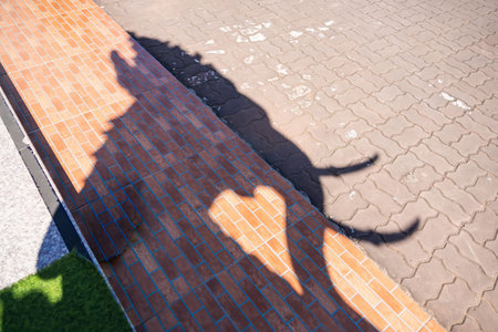 Shadow Play of Love: A unique perspective captures the heartwarming moment of a dog, its shadow forming a love heart on a brick wall, symbolizing the unwavering bond of affection.の写真素材