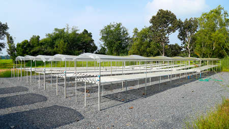 Structure of Greenhouse hydroponic farm,Thailandの写真素材