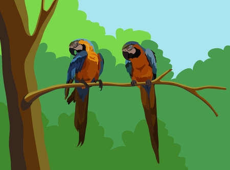 Macaws Vector  for graphic or website layout vector