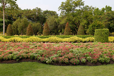 flowers and plants  in the garden for  Landscape Used or background Used , at King Rama IX Park, Bangkok,Thailandの写真素材