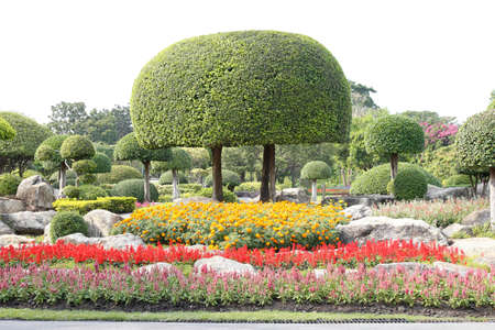 flowers and plants  in the garden for  Landscape Used or background Used , at King Rama IX Park, Bangkok,Thailandの写真素材