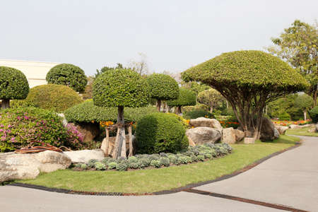 flowers and plants  in the garden for  Landscape Used or background Used , at King Rama IX Park, Bangkok,Thailandの写真素材