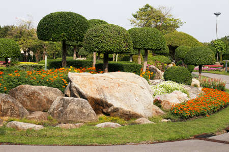 flowers and plants  in the garden for  Landscape Used or background Used , at King Rama IX Park, Bangkok,Thailandの写真素材