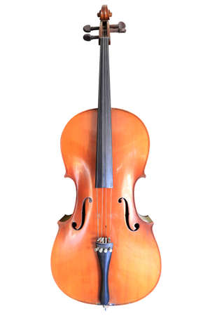 A standard modern violin shown from the front, Thailandの写真素材
