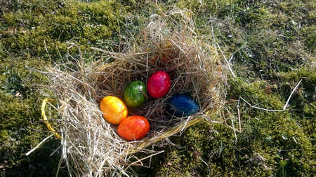 easter egg with colored eggs in a hay-filled basket on a meadow