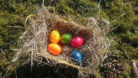 Easter basket with colorful eggs in a hay-filled basket on a meadowの写真素材