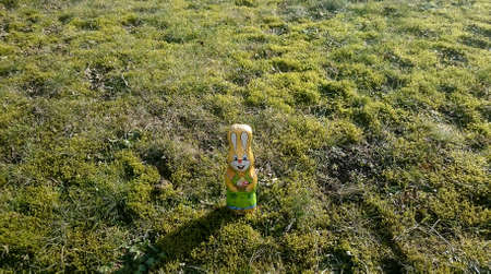 Chocolate hare single on a meadow