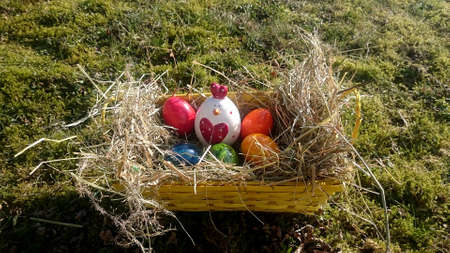 Easter basket with colored eggs and decorative chicken on a meadow overgrown with mossの写真素材