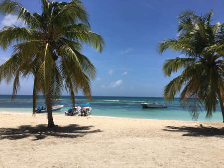 Sandy beach with palm trees and boats from the island of Saona in the Dominican Republicの写真素材