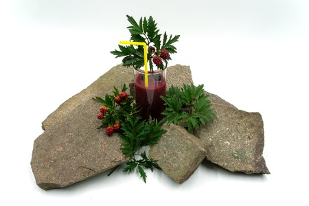 delicious berry smoothie with blackberries on stones.Studio shot in front of white background.の写真素材