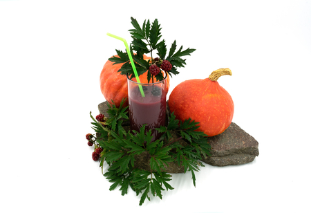 Berry smoothie with blackberries and pumpkin on stones.Studio shot in front of white background.の写真素材