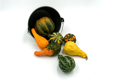 Various ornamental pumpkins fall from a decorative bucket. Studio shot on white backgroundの写真素材