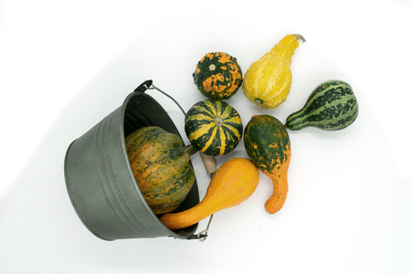Various types of ornamental squash fall from a bucket. Studio shot on white background, view from above.の写真素材