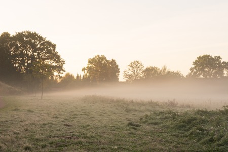 Morning haze over a meadow.Location: Germany, North Rhine - Westphalia, Borkenの写真素材