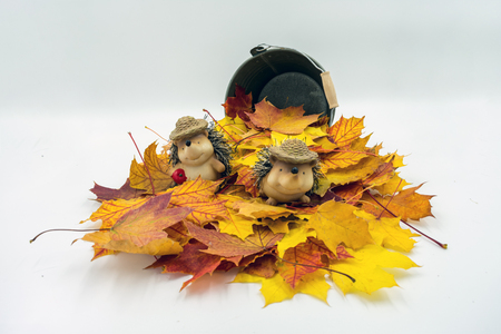 Maple leaves in front of a small metal bucket. In the pile of leaves sits a hedgehog couple with straw bags.の写真素材